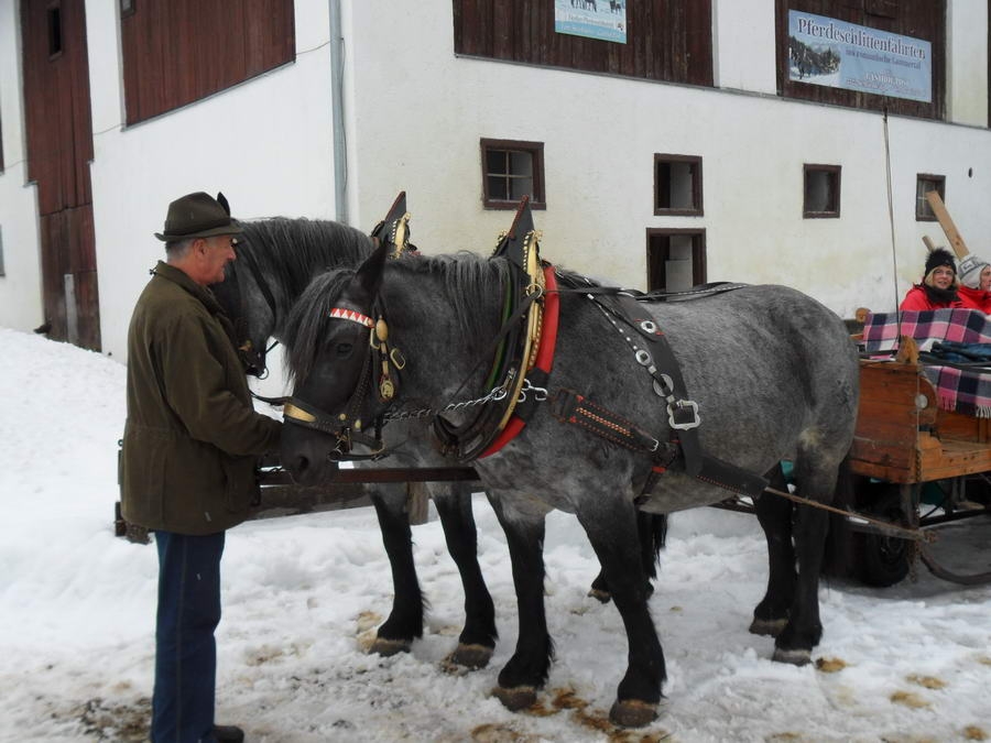 07- Dachstein, Bauernhaus, Abreise 044